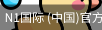 N1国际